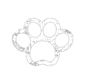 TopDogcomedy.com.au